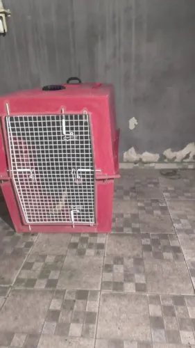 Caixa de Transporte para cachorro Grande N8-IATA/LATAM (105cmX69cmX80cm)Magazinedopet