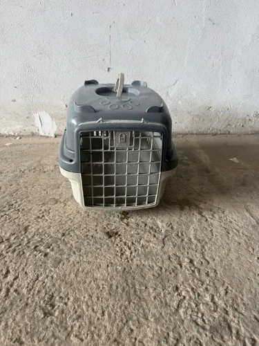 Caixinha transporte animais
