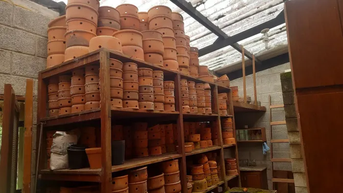Vasos de barro
