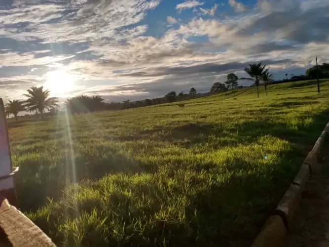 Linda Fazenda com 600 Hectares, próximo a BR 174 e bola do 500. PORTEIRA FECHADA!!!