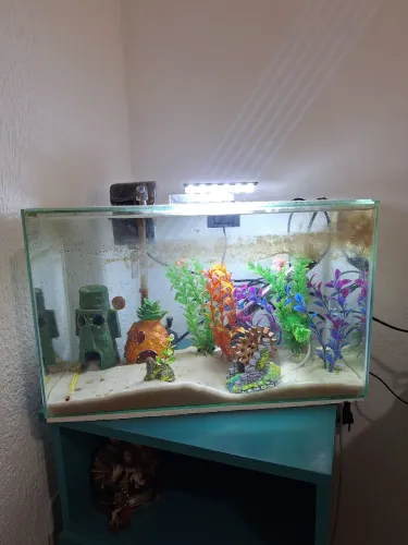 Aquario