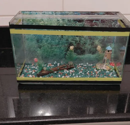 Aquário
