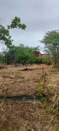Excelente terreno em berimbau 