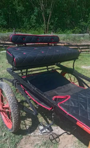 Charrete aro 21