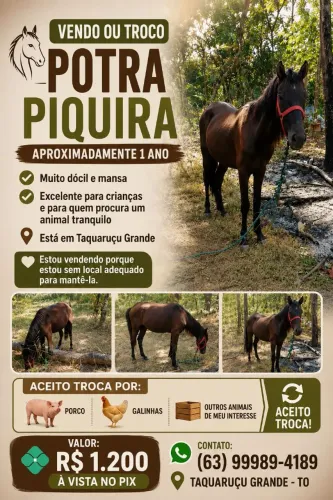 Potra