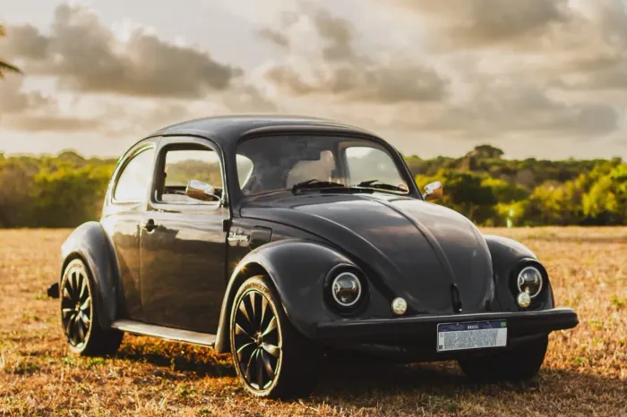 Volkswagen Fusca Fusca (gasolina) 1995