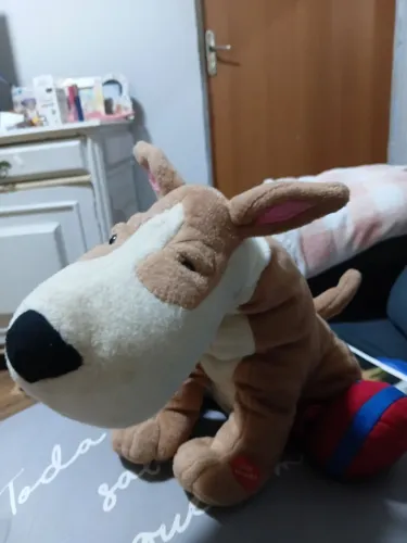 Cachorro  divertido