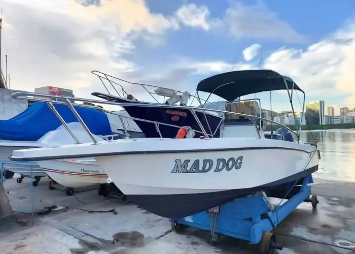 Lancha Fishing - Wellcraft 21 pés - Motor 4T - 115HP Yamaha