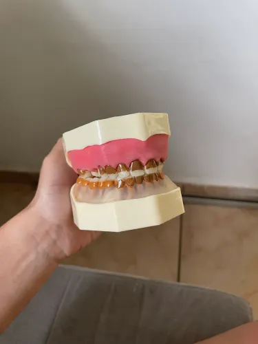 MANEQUIM PERIODONTIA FG 309