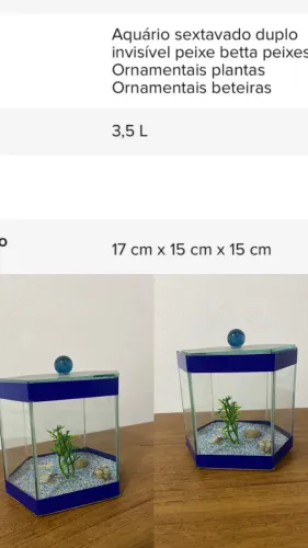 Aquário Peixe Beta