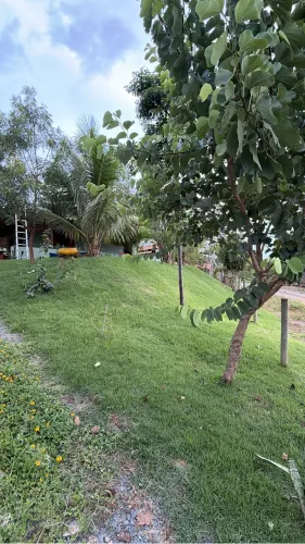 Sítio em Martinho Campos