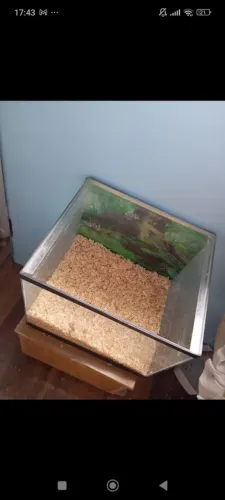 Aquário cubo