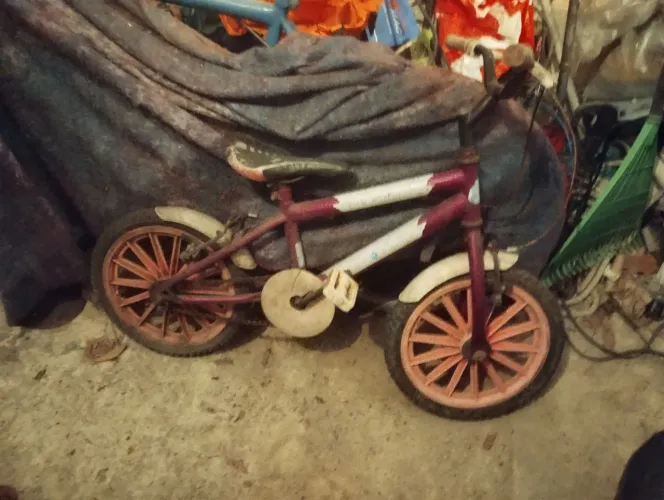 Bicicleta 