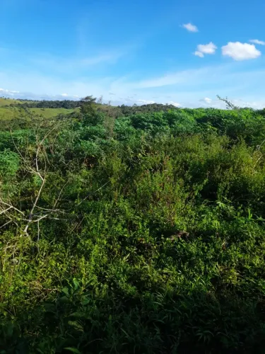 Fazenda Laje / santo António
