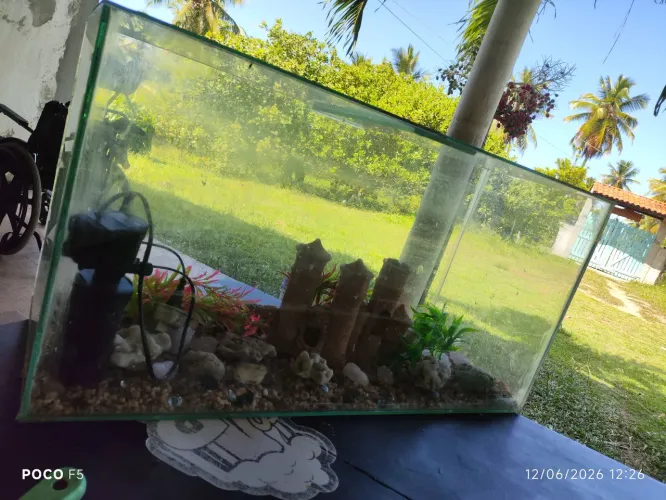 Aquário 130l com tudo que tá dentro 