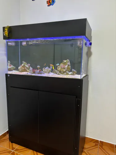 Aquário 200l