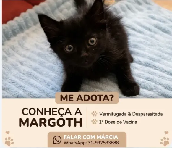 ADOTE A MARGOTH