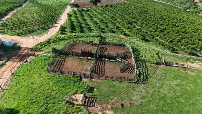 *FAZENDA DE LARANJA A VENDA NA REGIÃO DE ITAPETININGA-SP* ?? ? Área Total: 170 Alqueires o
