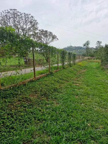 TERRENO EM MOEDA VELHA