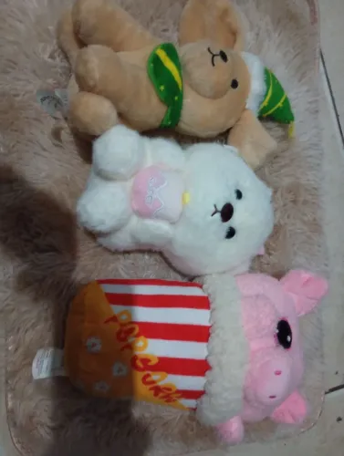 Urso variador