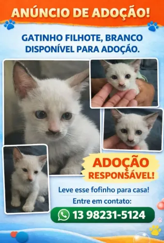 Doação 