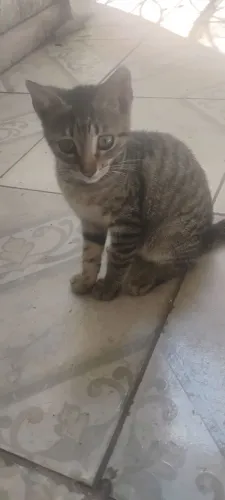Doação