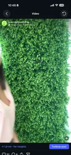 JARDIM VERTICAL