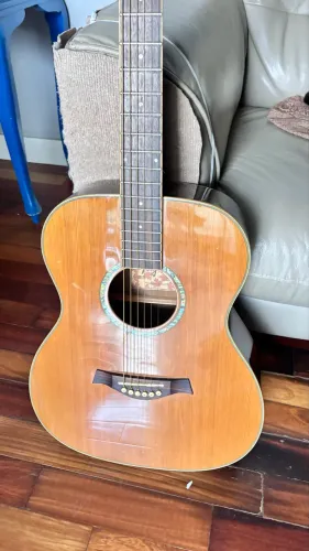 Violão Tagima Canadá Quebec