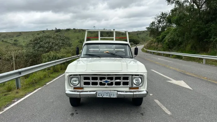 Chevrolet C-10 2.5/4.1 1979