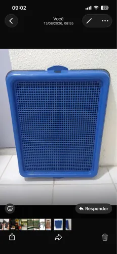 Sanitário para cães 