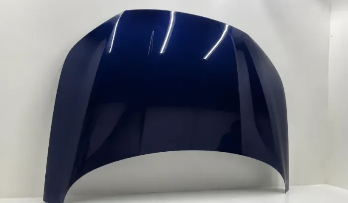 capo frontal byd king 2023 2024 2025