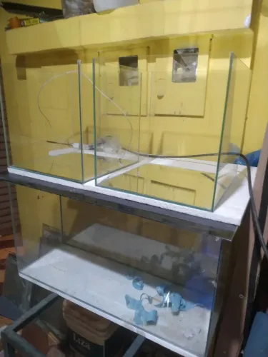 Fábrica de Aquário 