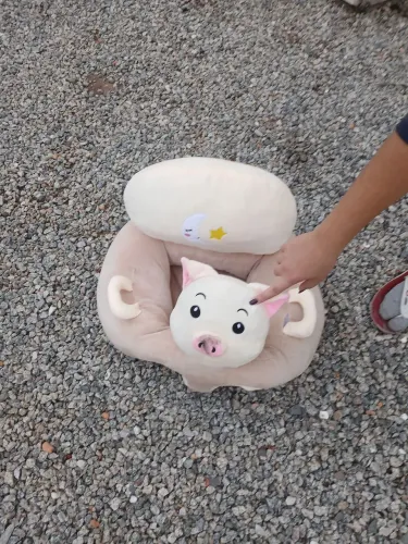 Assento de postura para bebê 50reais
