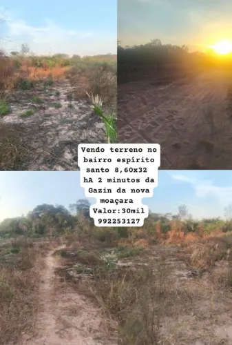 Terreno
