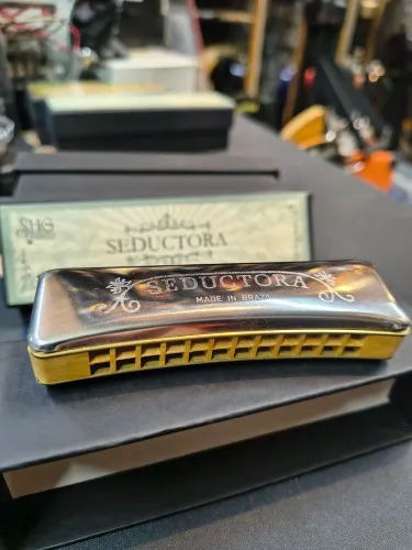 Gaita sedutora Hering 24 vozes compre a melhor marca nacional em instrumentos de sopro 