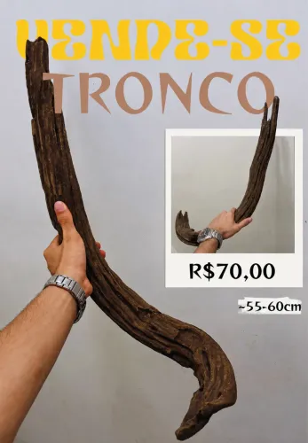 Tronco Natural para Aquário 55-60 cm