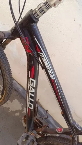 Bicicleta Galo aro 29 - 21 marchas.