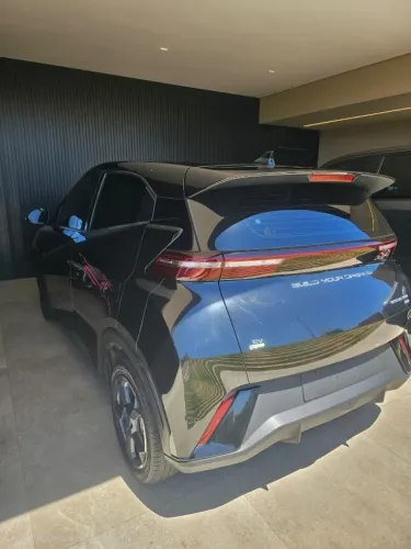 BYD Dolphin Mini (Elétrico) 2024