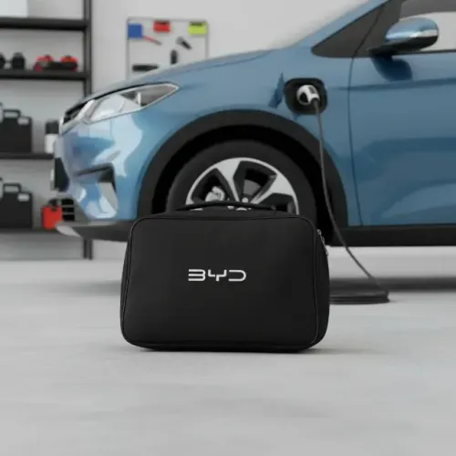Carregador Byd Original nunca utilizado.