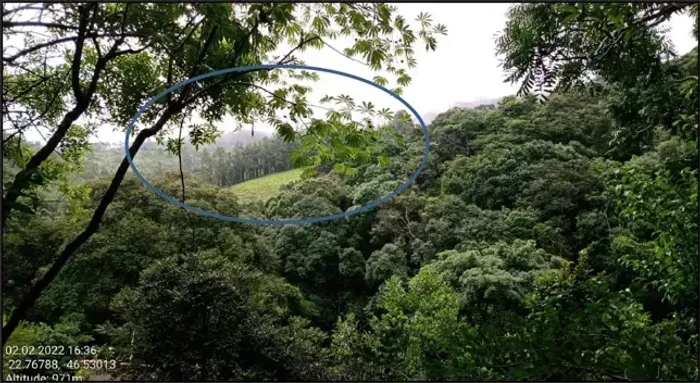 Imóvel para venda tem 10000 metros quadrados em Área Rural de Pinhalzinho - Pinhalzinho -