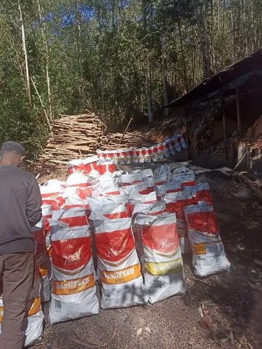 Carvão 35 reais 