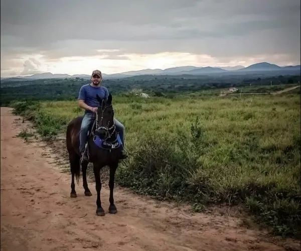 Égua quarto de milha 