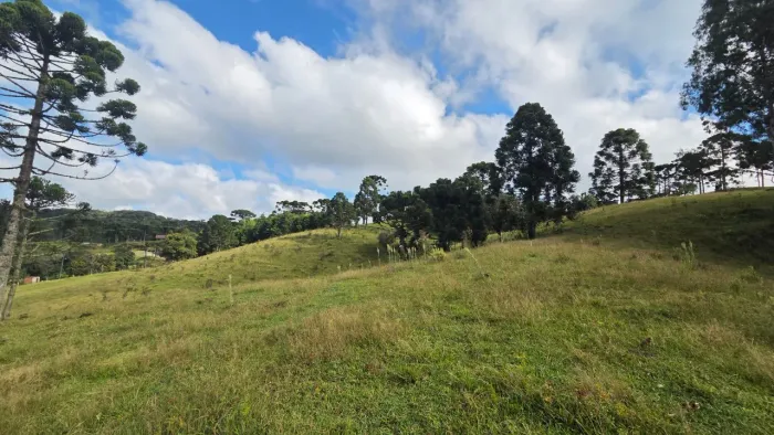 TERRENO RURAL em CAMPO ALEGRE - SC, Laranjeiras