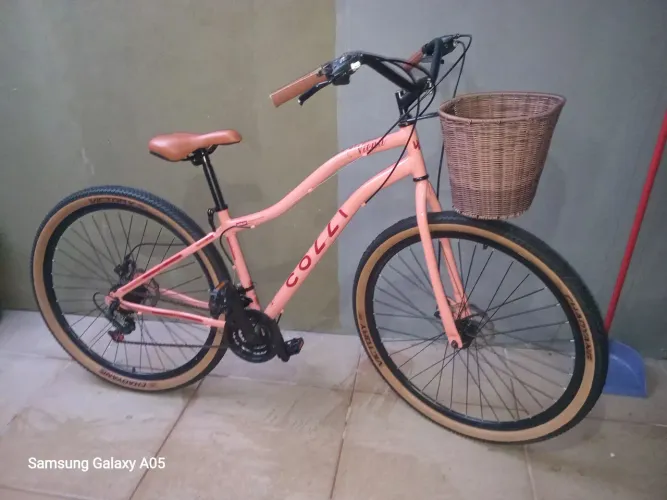 Bicicleta Femenina semi nova