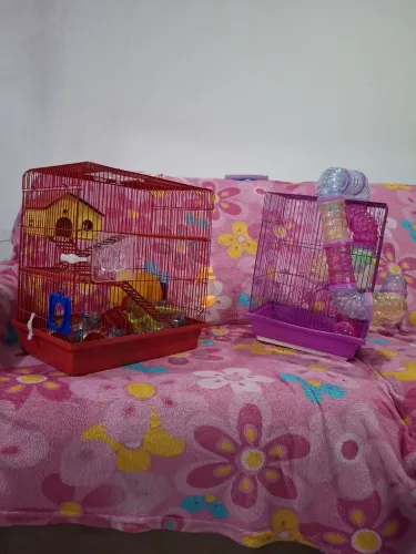 Gaiola de hamster