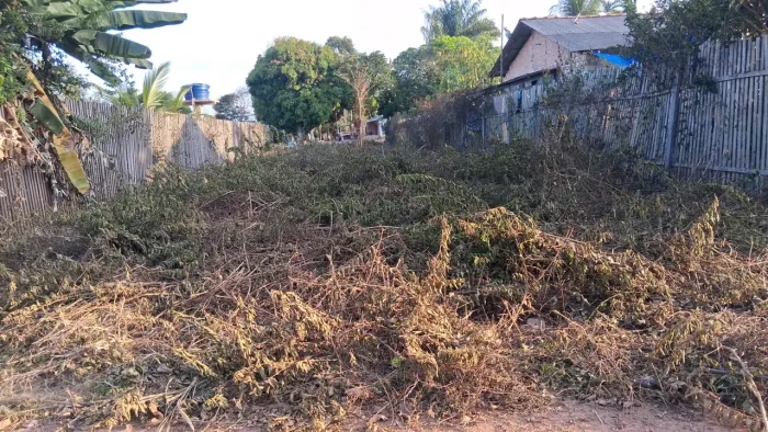 Terreno cipoal