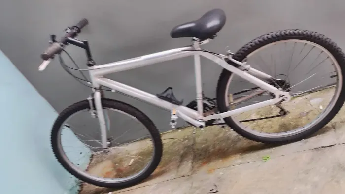 Bicicleta adulto. 300 reais