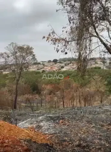 Área Vila Maria Luiza