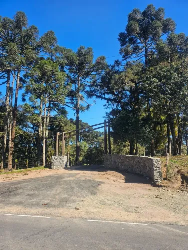 TERRENO RURAL em CAMPO ALEGRE - SC, Bateias de Cima