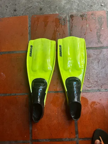 Vende pé de pato 